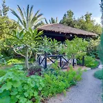 Mimosa * Arafo