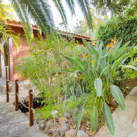 Mimosa Вилла Арафо